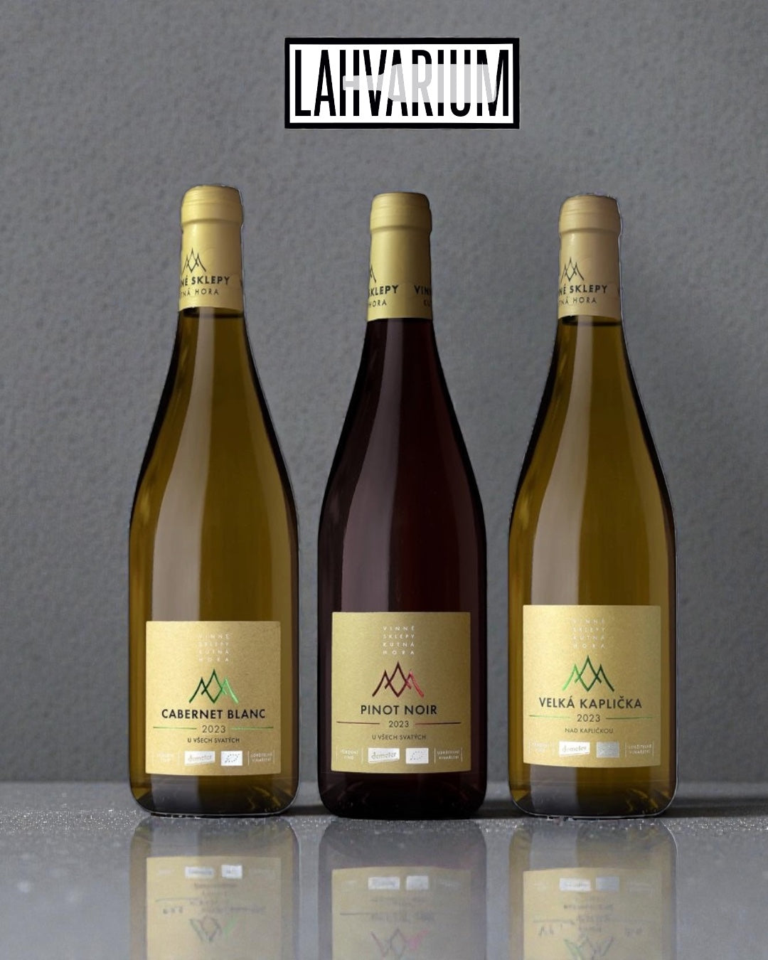 Degustační set Vinné sklepy Kutná Hora TOP 3