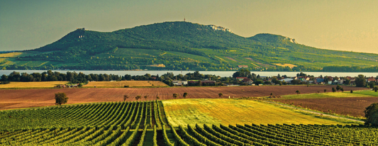#1 | Každá láhev má svůj příběh. Tenhle je o Lahvariu.