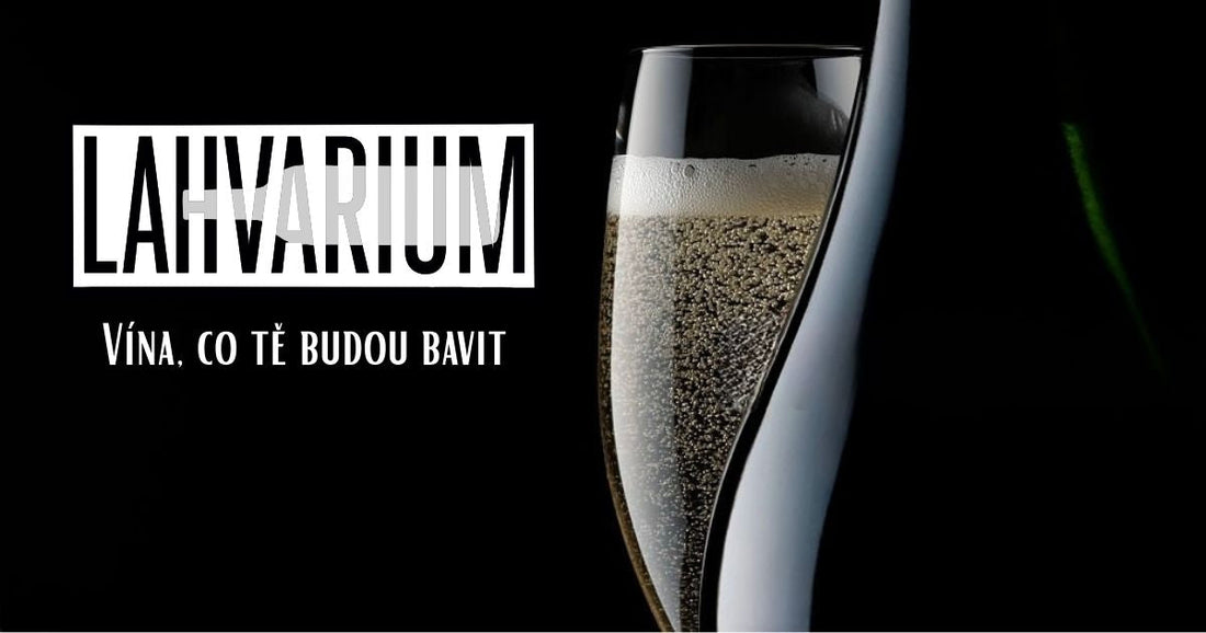 Testovací článek Vinarium Lahvaria